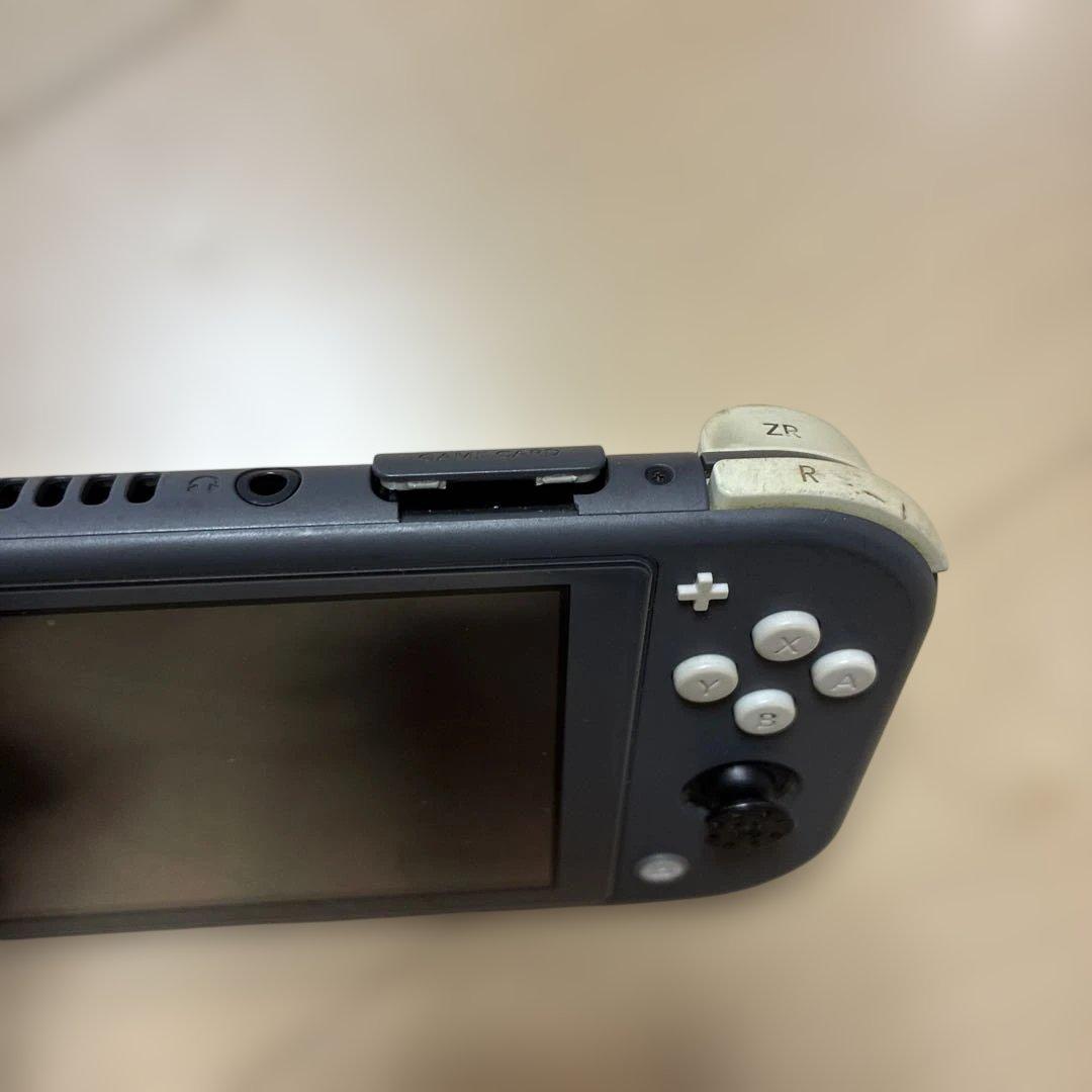 Nintendo Switch Lite ジャンク　ブルー画面