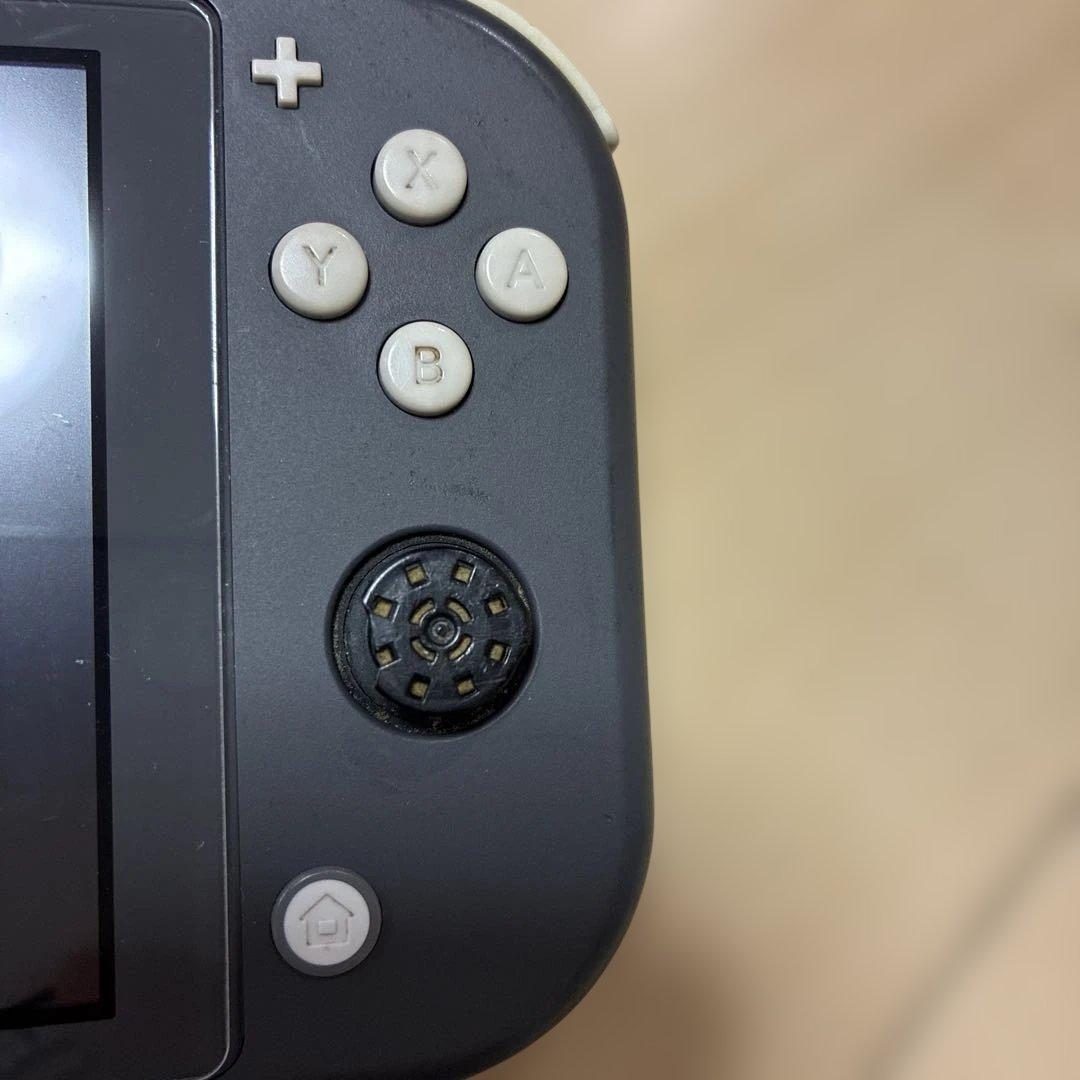 Nintendo Switch Lite ジャンク　ブルー画面