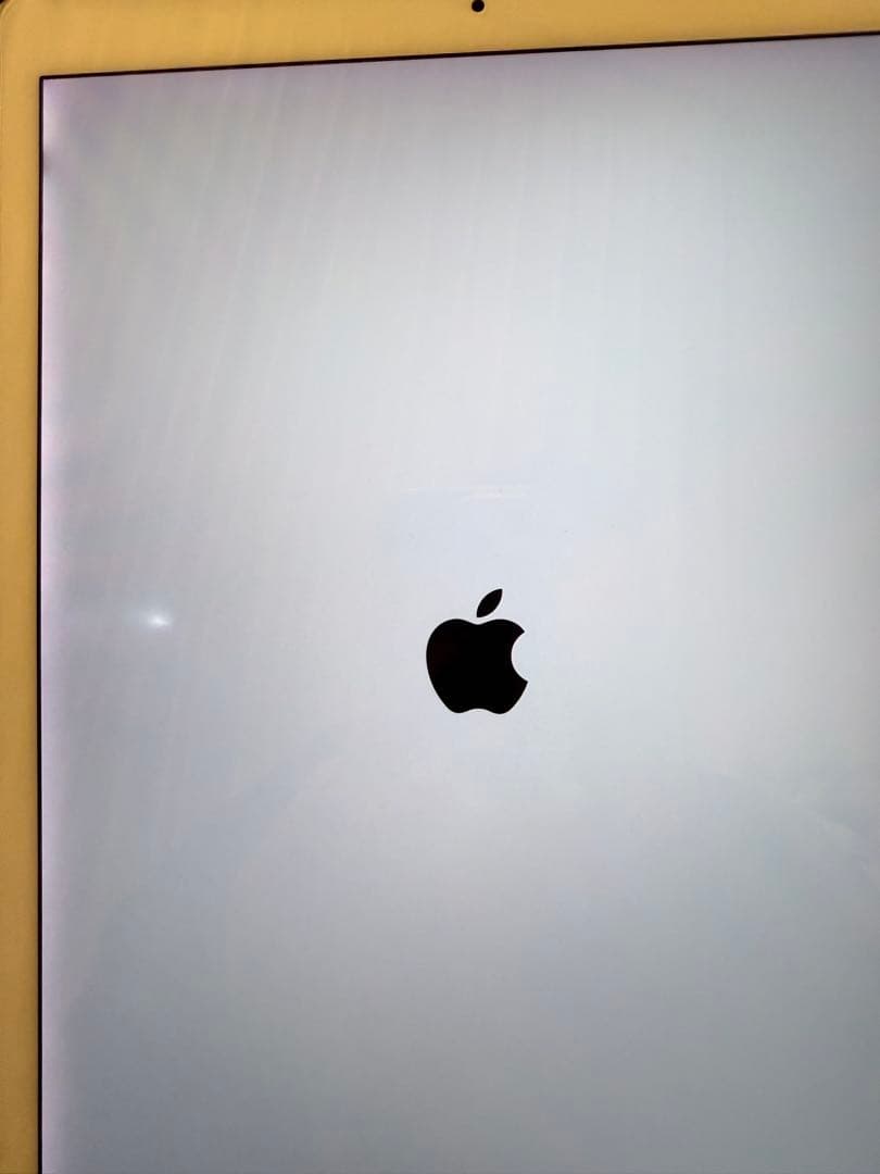 iPad Pro (12.9インチ) (第2世代) 512GB