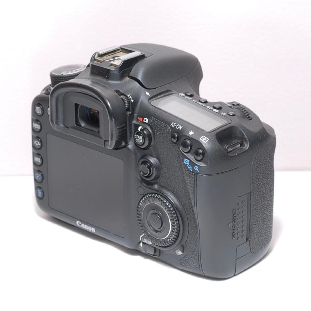 高速連写機能✨Canon EOS 7D✨ダブルレンズ✨野球観戦に✨少シャッター