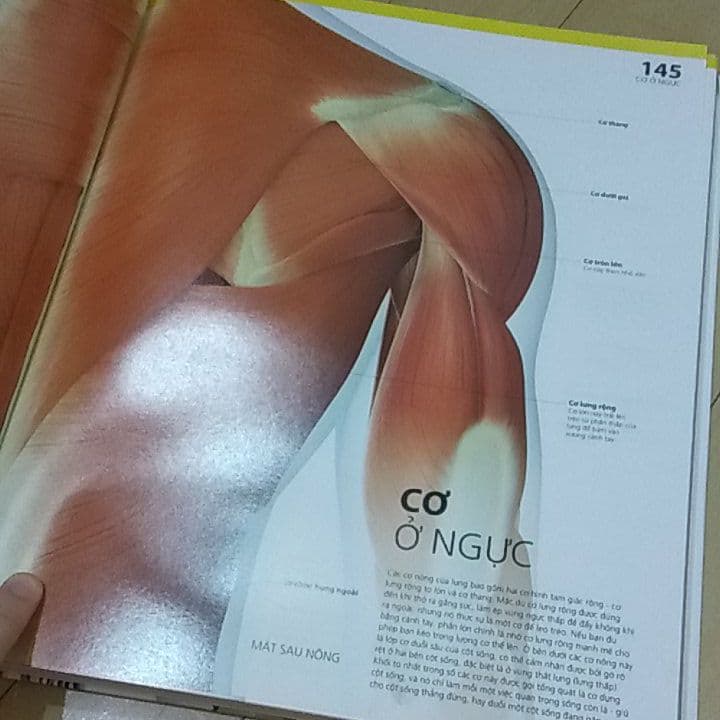 洋書 Body Atlas (Vietnamese book)