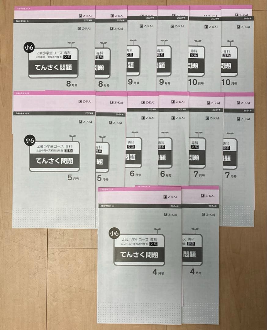 Z会 エブリスタディ 適性検査 小6 公立中高一貫 一年分セット