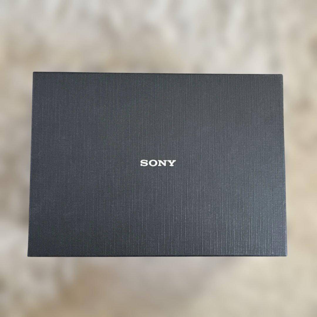 SONY NW-A3000 20GB デジタルオーディオプレーヤー パープル