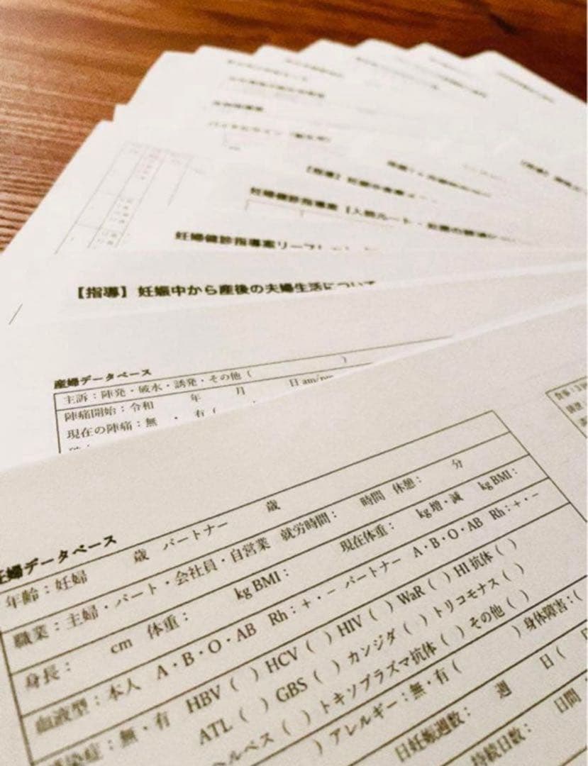 実習ポケットノート 助産師・助産学生　助産師国家試験　事前学習　まとめノート