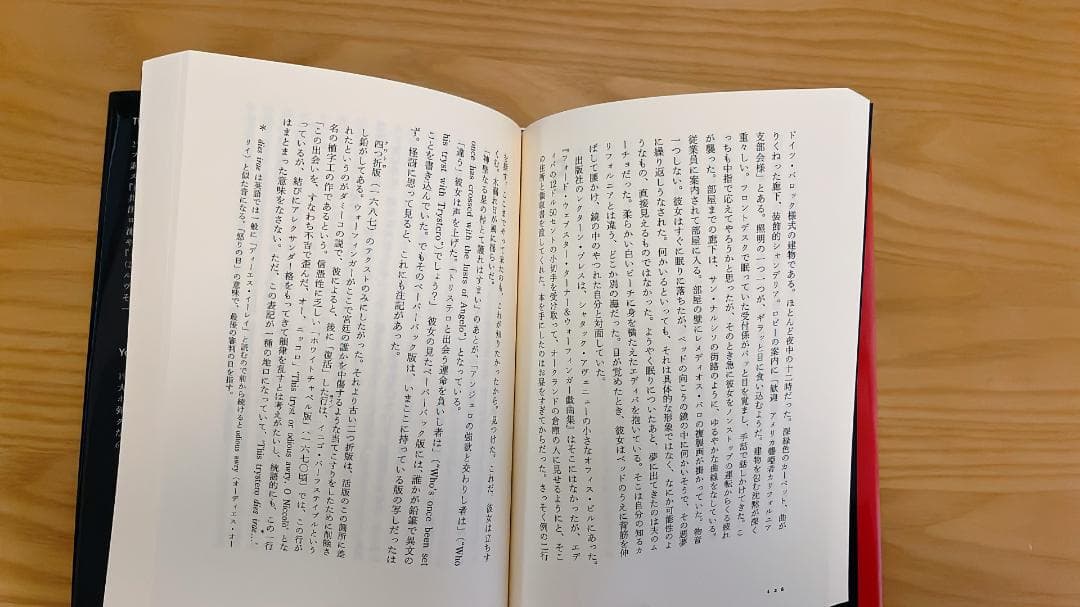 トマス・ピンチョン全小説　10冊セット