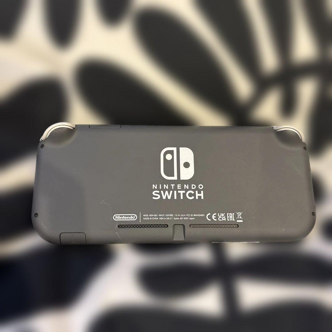 Switch Light グレー　本体　充電器付き