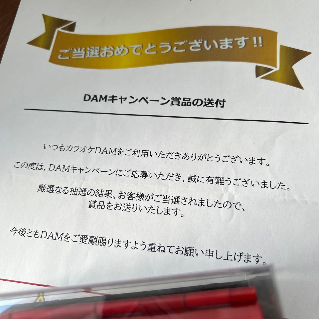 笹*様 米津玄師　ドーナツホール　DAMキャンペーン 抽選　ケース