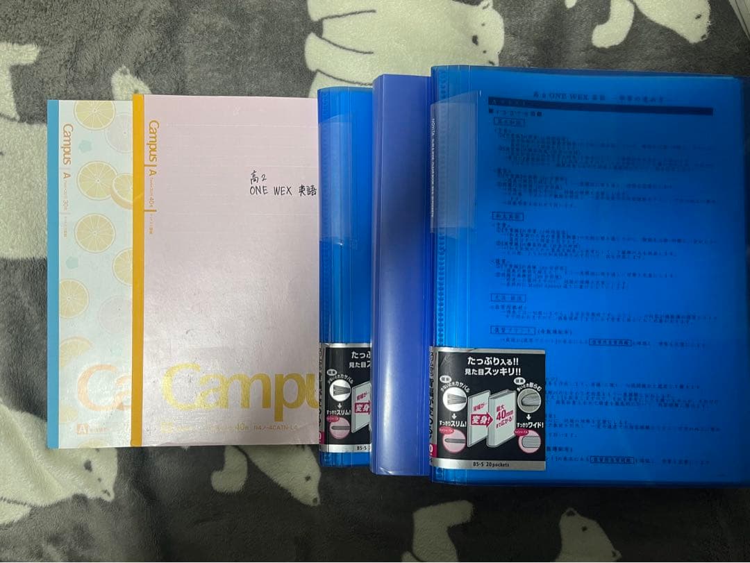 河合塾　玉置全人　高2 ONEWEX英語　テキスト＋板書ノート＋プリント