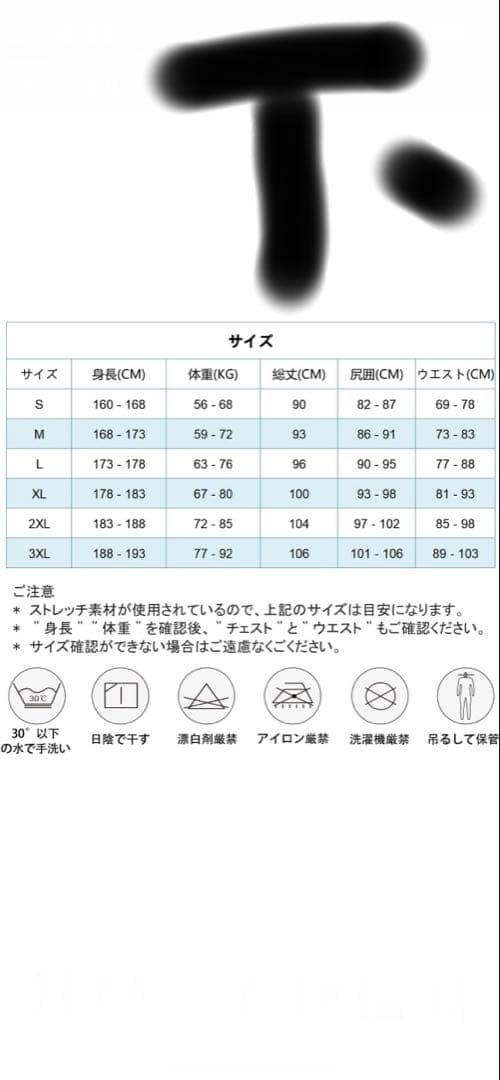 MORGEN SKY slinx ウェットスーツLサイズ上下セット
