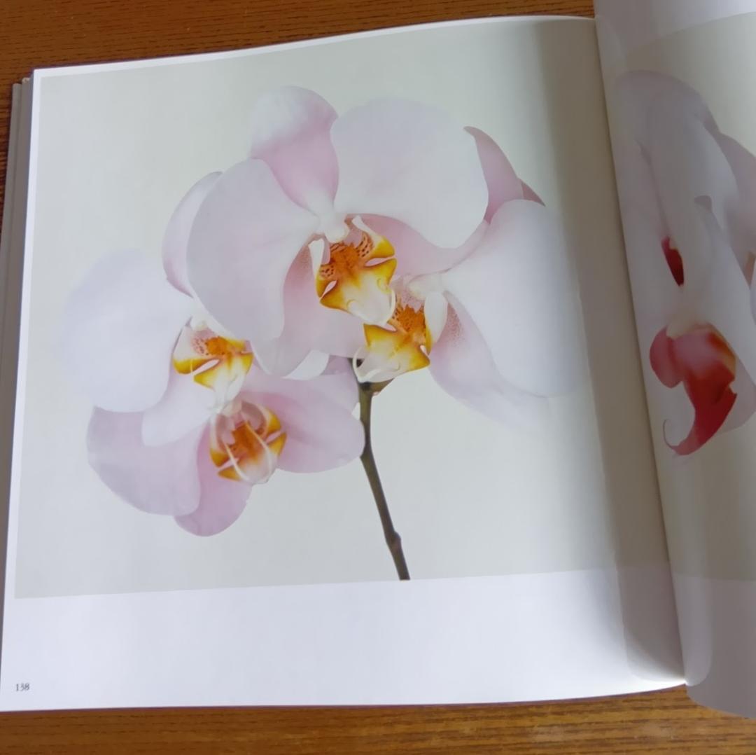 「花」 浅井慎平写真集　大型本 – 1991年　サンリオ