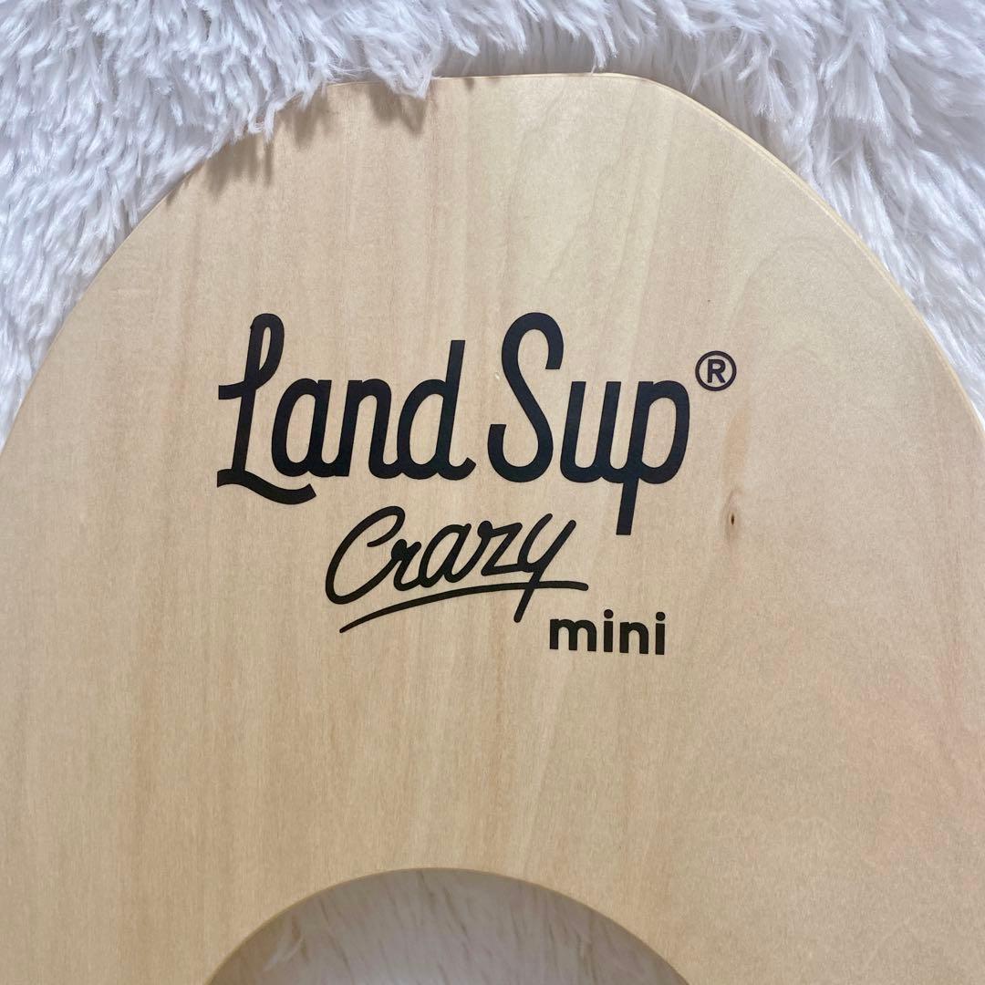 大人気 LandSup Crazy mini サーフィン バランスボード 日本製