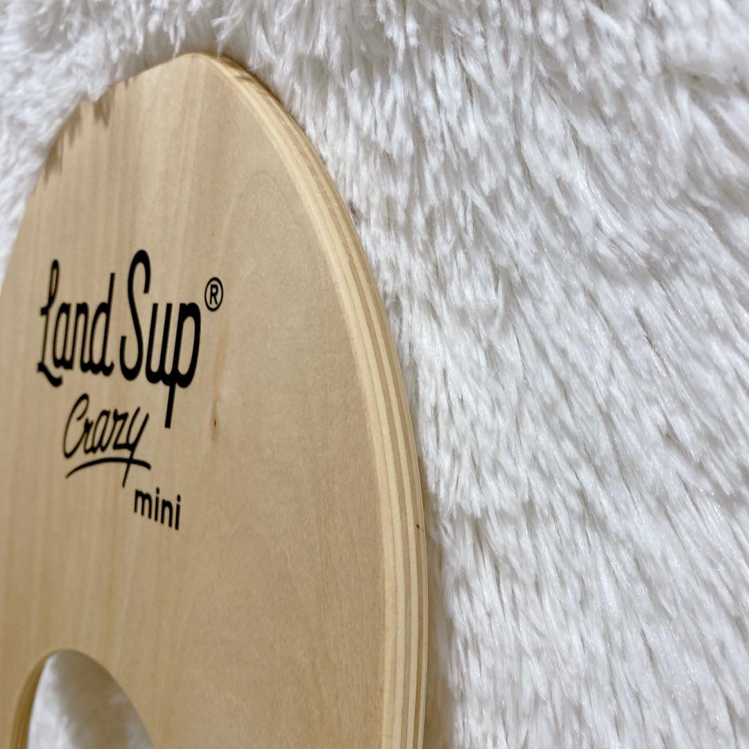 大人気 LandSup Crazy mini サーフィン バランスボード 日本製