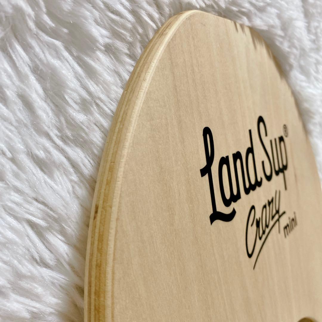 大人気 LandSup Crazy mini サーフィン バランスボード 日本製