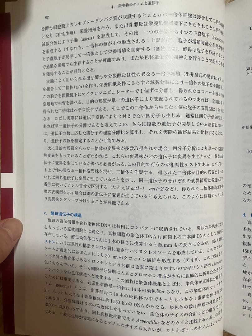 【農学・バイオ系 専門書5冊セット】ボルハルトショアー第8版／ヴォート／他