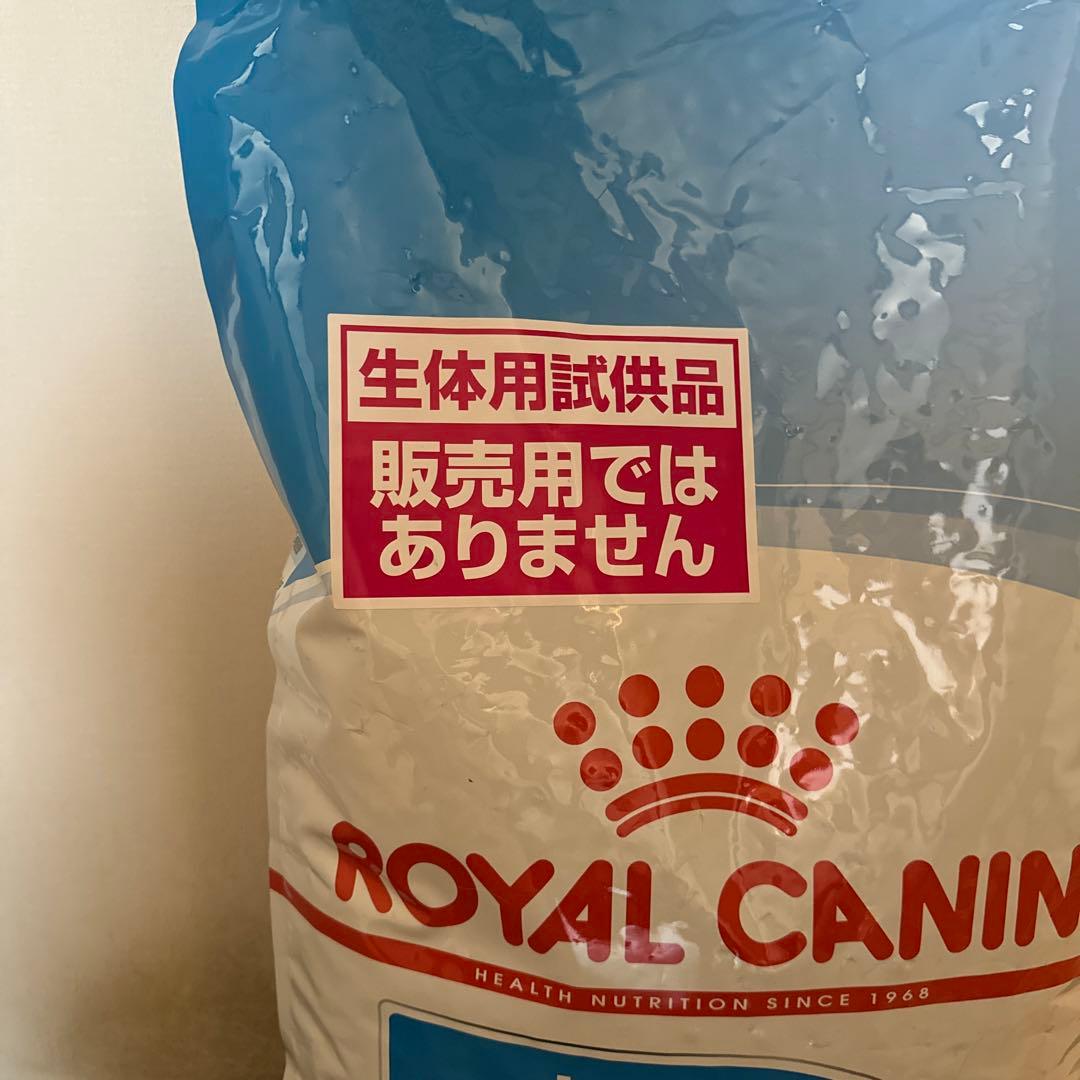 M*を様 ローヤルカナン 大型犬の子犬用 マキシパピー 生体用試供品 1袋