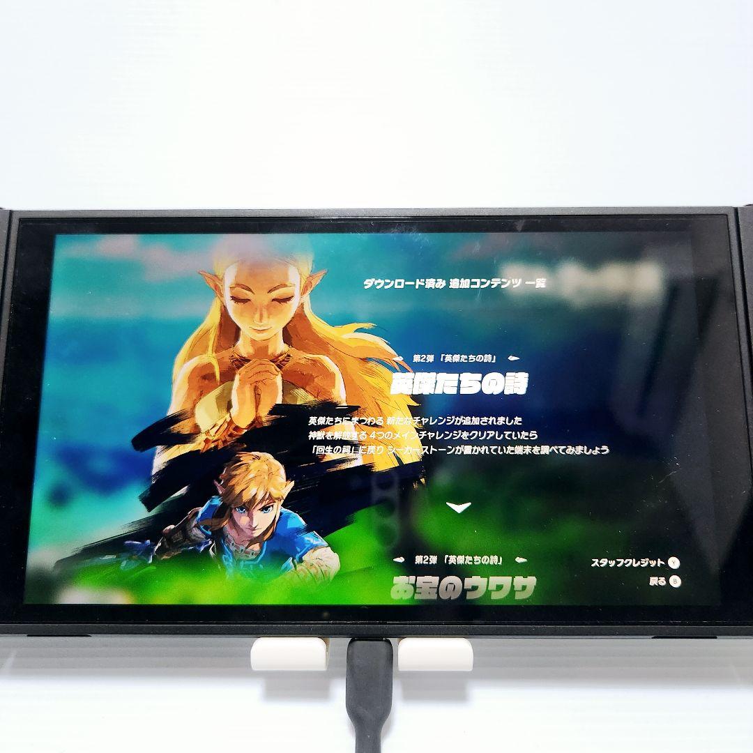 ゼルダの伝説 ブレスオブザワイルド ＋ エキスパンション・パス ソフトのみ