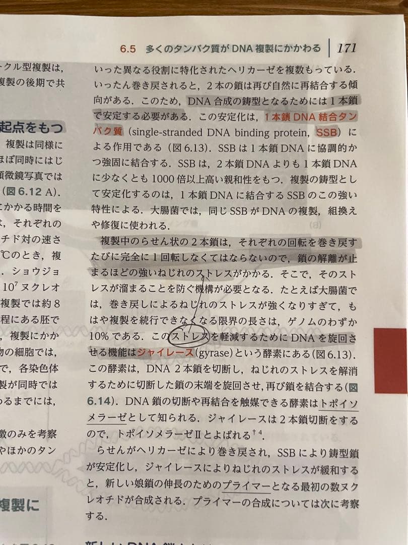 エッセンシャル遺伝学・ゲノム科学