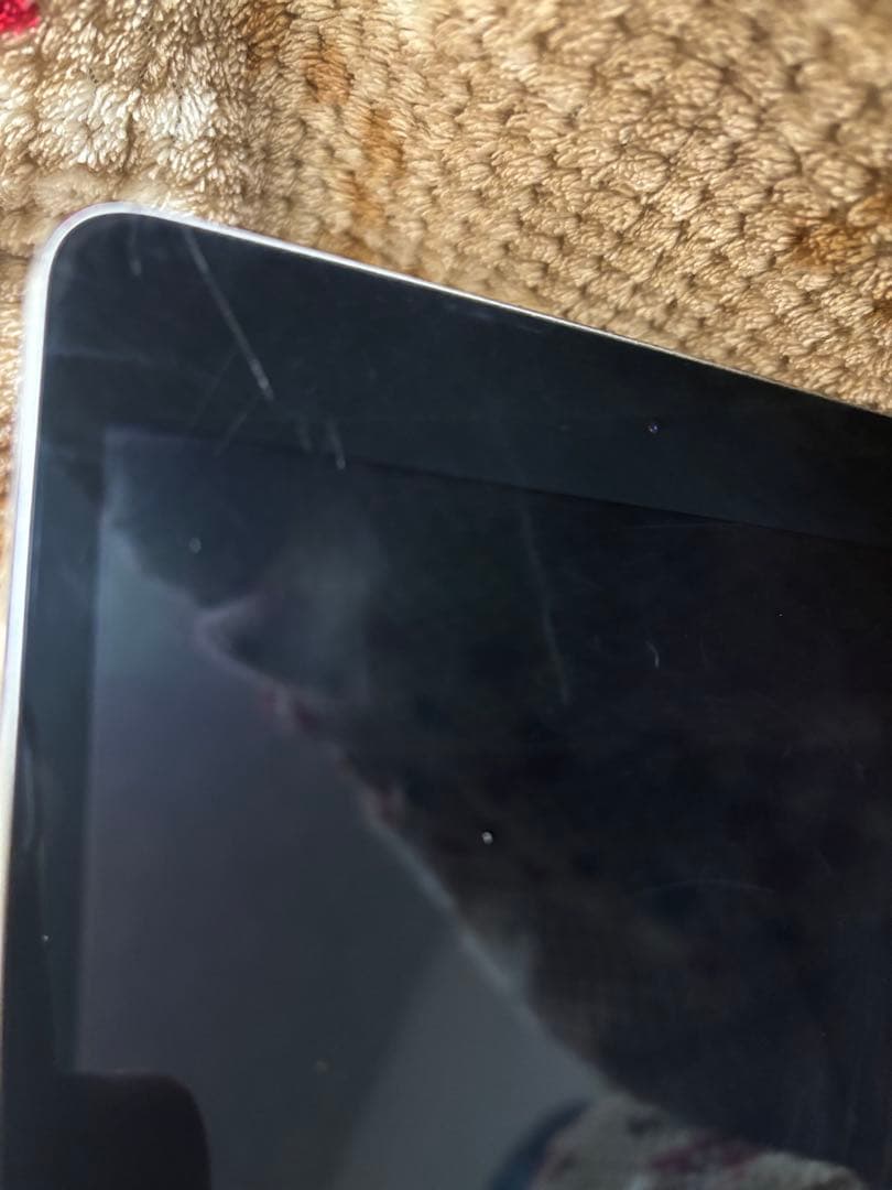 Apple iPad mini4 たっぷり128G お安く