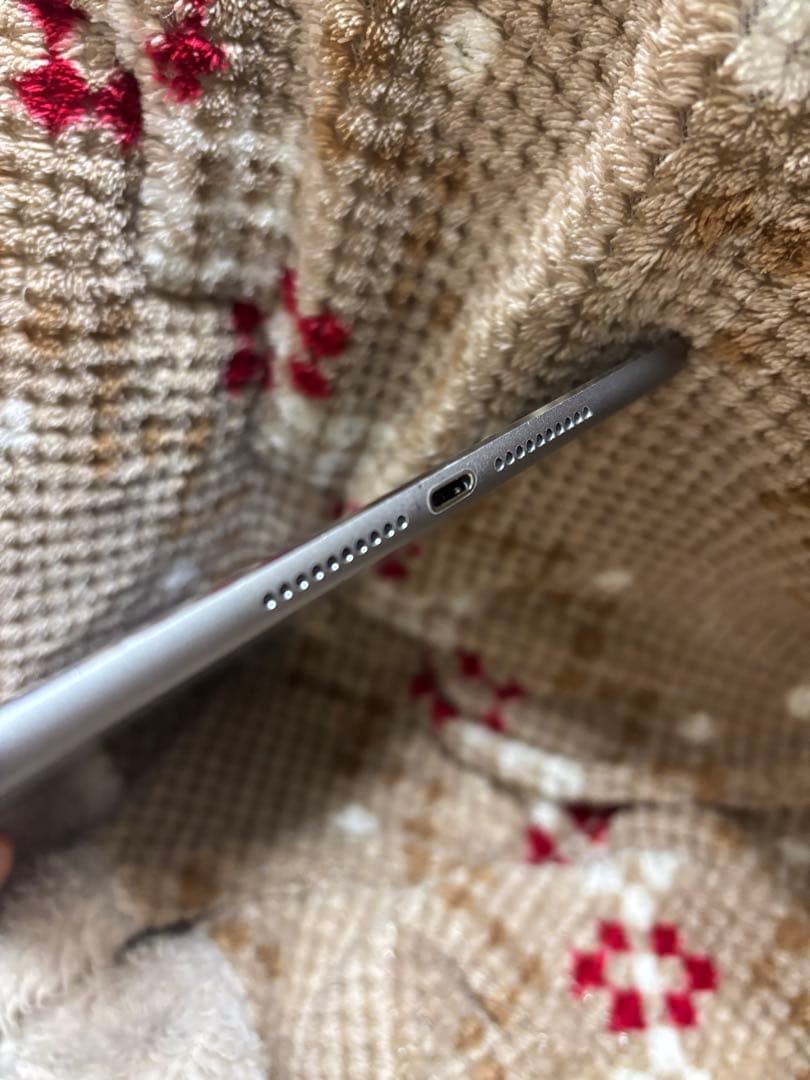 Apple iPad mini4 たっぷり128G お安く