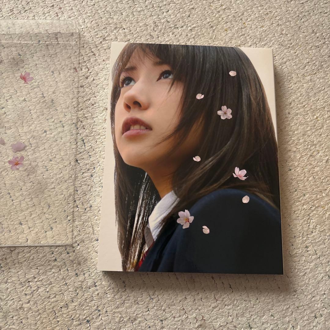 時をかける少女 完全生産限定版 DVD 仲里依紗