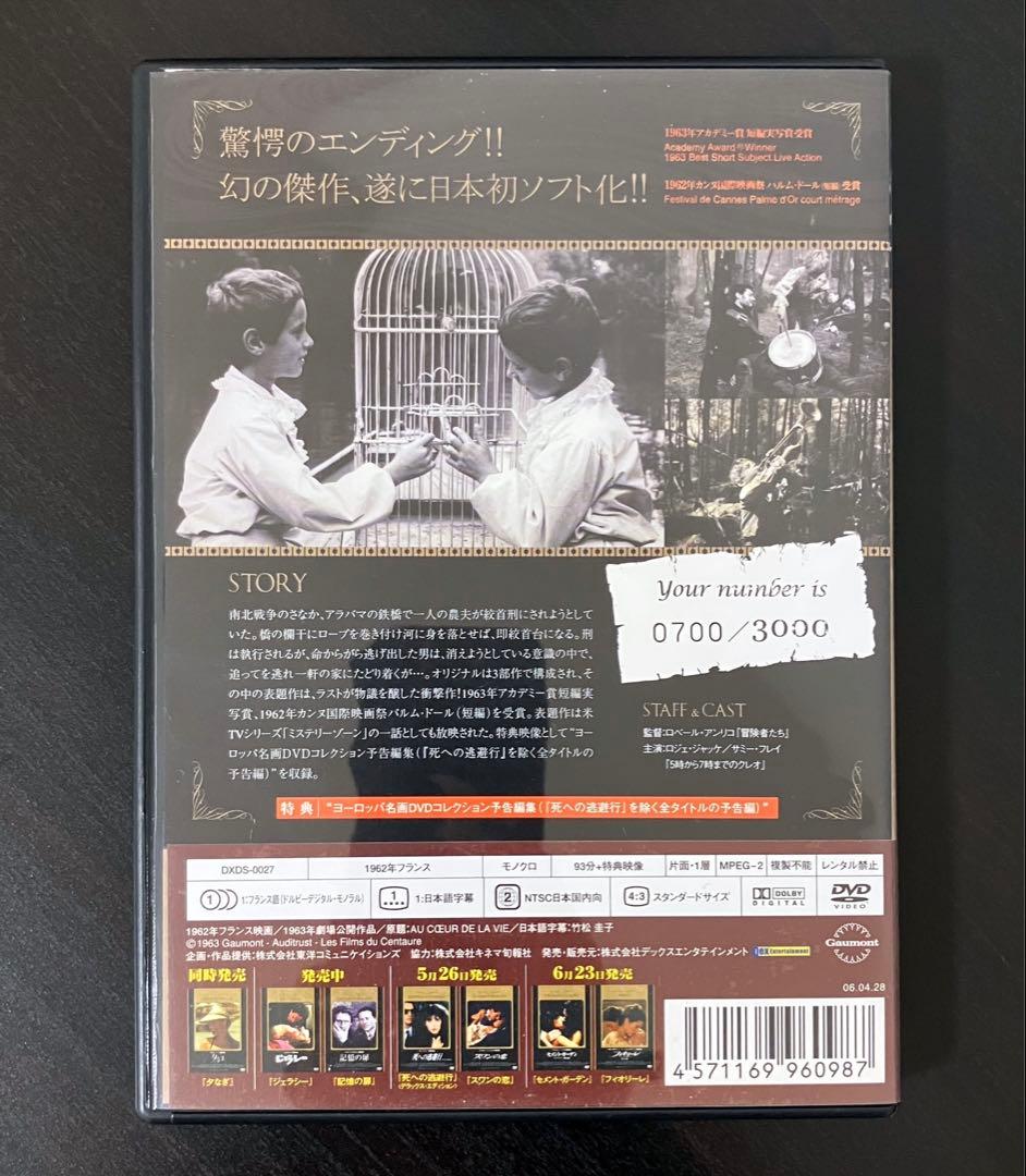 洋画 DVD ふくろうの河 '61仏 3000枚完全限定生産