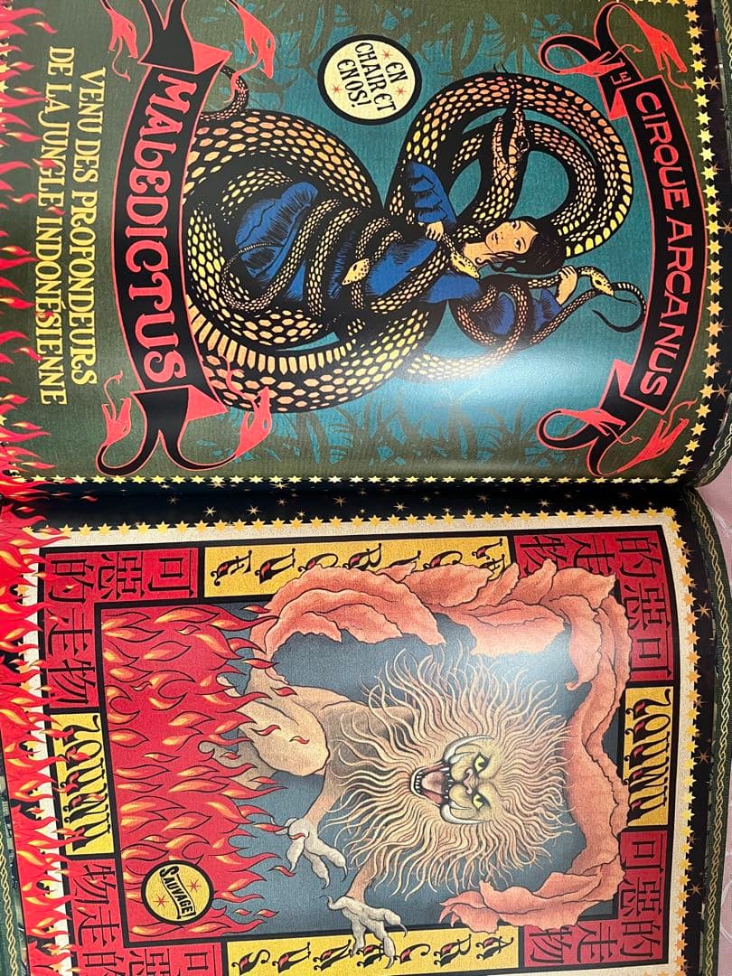 ハリーポッター 魔法ワールド大図鑑・マジックオブミナリア・魔法の杖コレクション