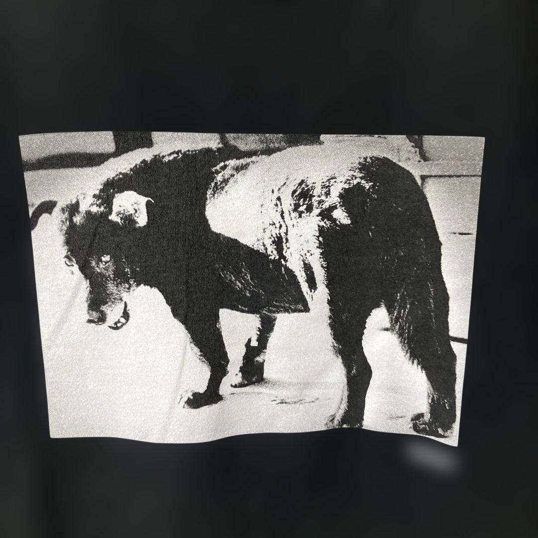 Supreme Daido Moriyama Dog Tee Tシャツ　ブラック