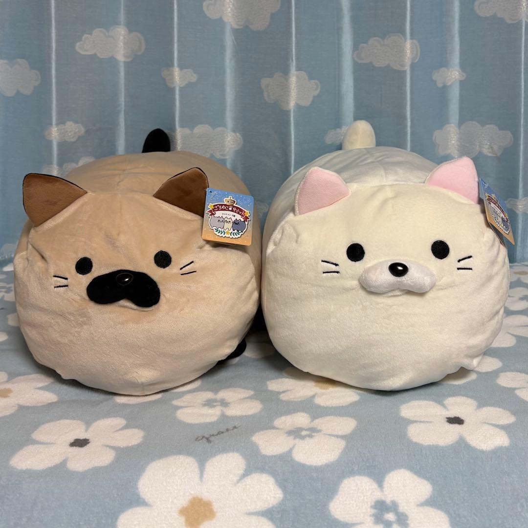 第3回 ごろねこサミット　イトウ　タナカ　クッション　ぬいぐるみ　2種セット