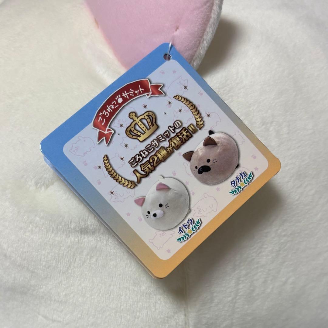 第3回 ごろねこサミット　イトウ　タナカ　クッション　ぬいぐるみ　2種セット