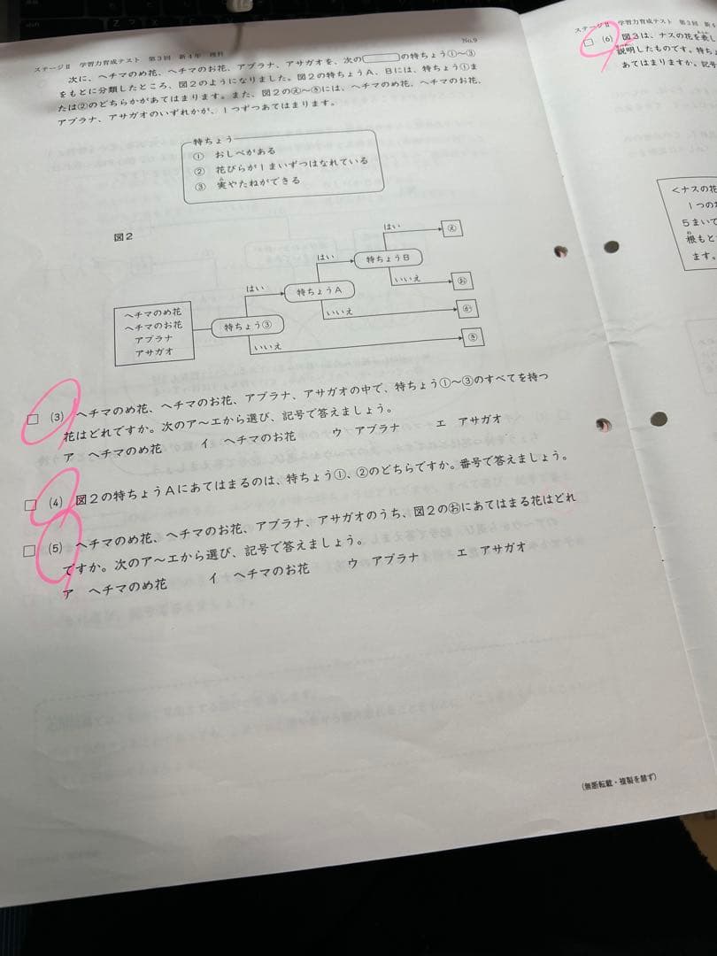 日能研 4年 学習力育成テスト ステージⅡ第１回～第10回　4教科【国算理社】