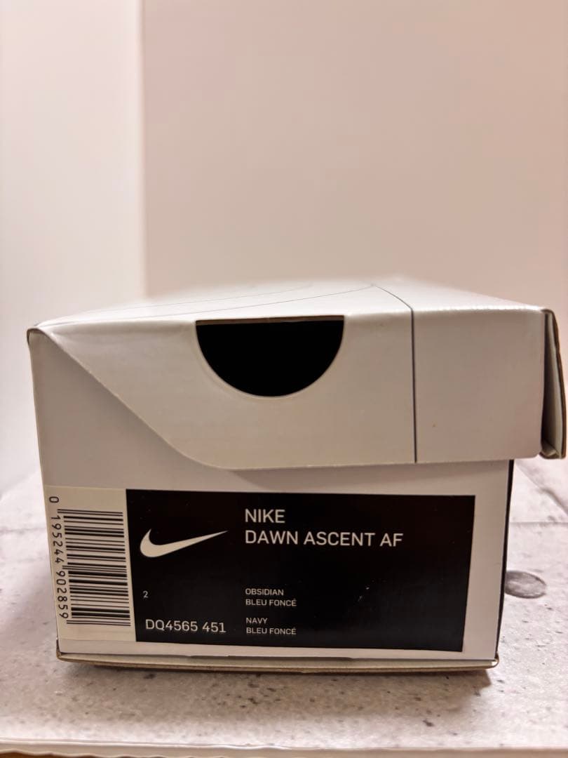 NIKEサングラス　DQ4565 451