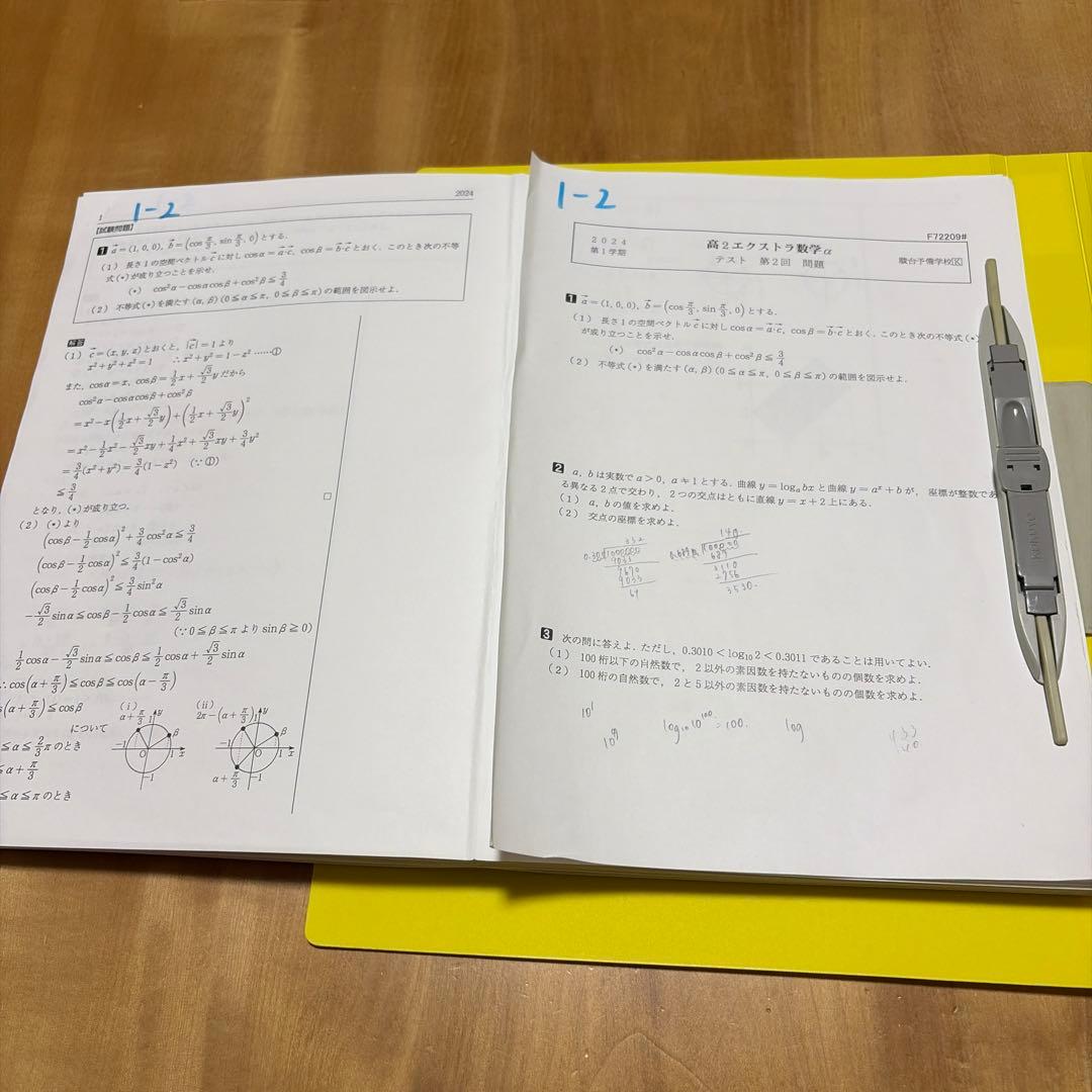 【3点セット】駿台エクストラ数学α一学期　授業テキスト➕テスト問題➕解説プリント