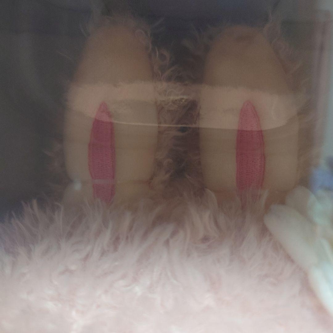 POPMART MOKOKO♡正規品 38cmぬいぐるみ ２個セット♡新品未開封