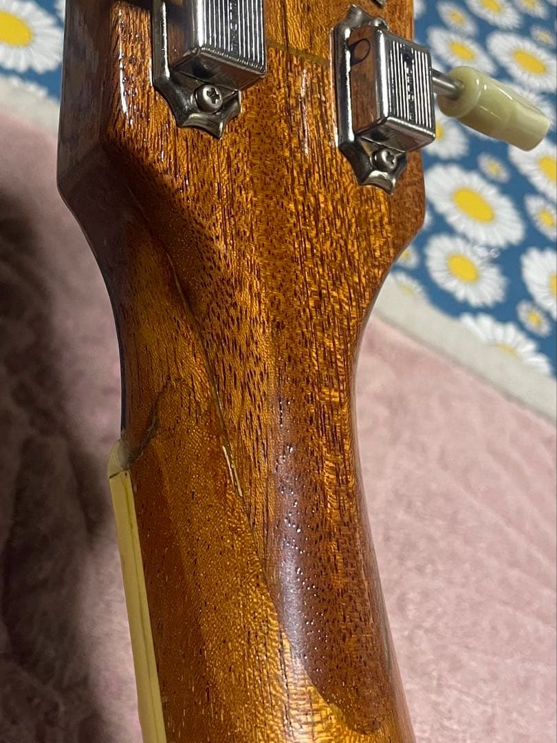 ギター Navigator N-LP Figured Maple Lemon Drop