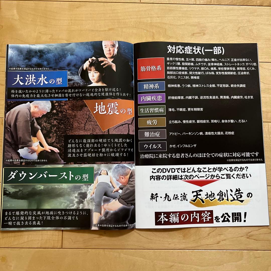 夏の特価【限定一品のみ】天地創造 DVD 、特典ディスク付き、網戸理九