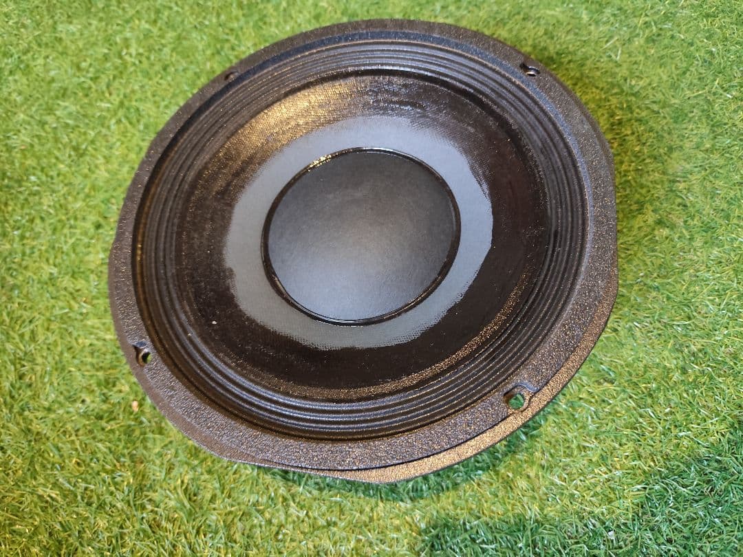 Eminence CA10 スピーカー 8Ω 200W　ペア