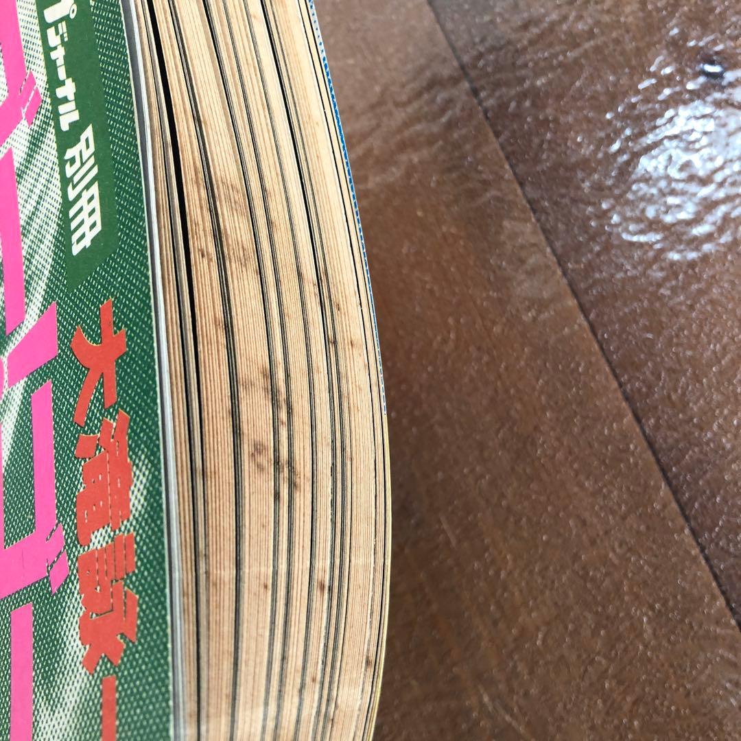 ゴー！ゴー！ナイアガラ 大滝詠一著