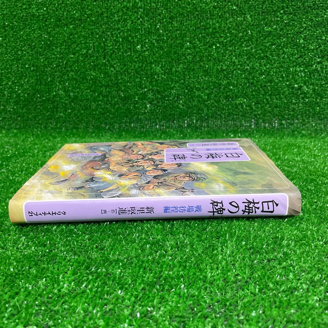 白梅の碑 戦場彷徨編