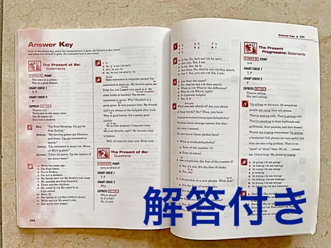 洋書 Grammar Express Basic