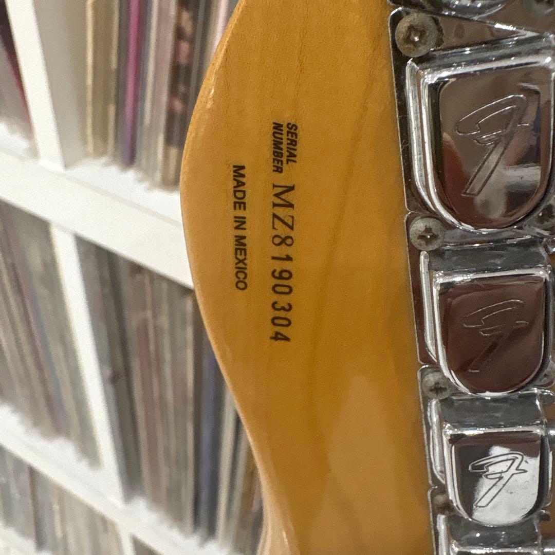 内*也様 fender Mexico Telecaster Thinline 6