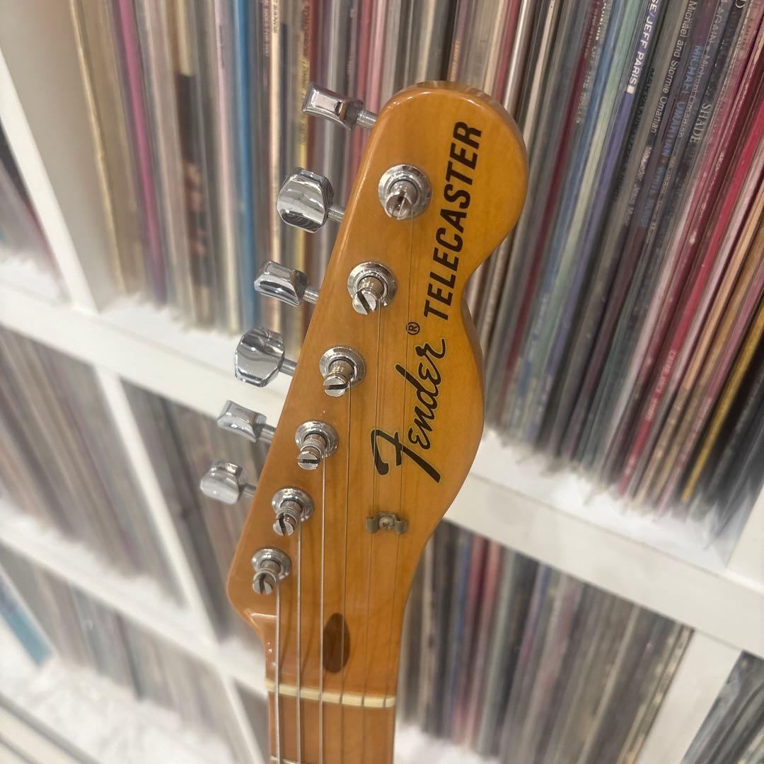 内*也様 fender Mexico Telecaster Thinline 6