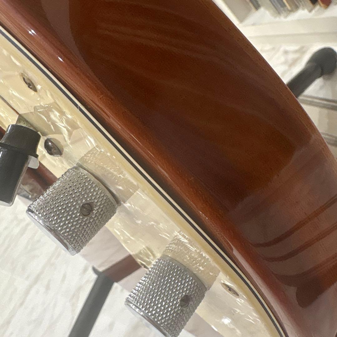 内*也様 fender Mexico Telecaster Thinline 6