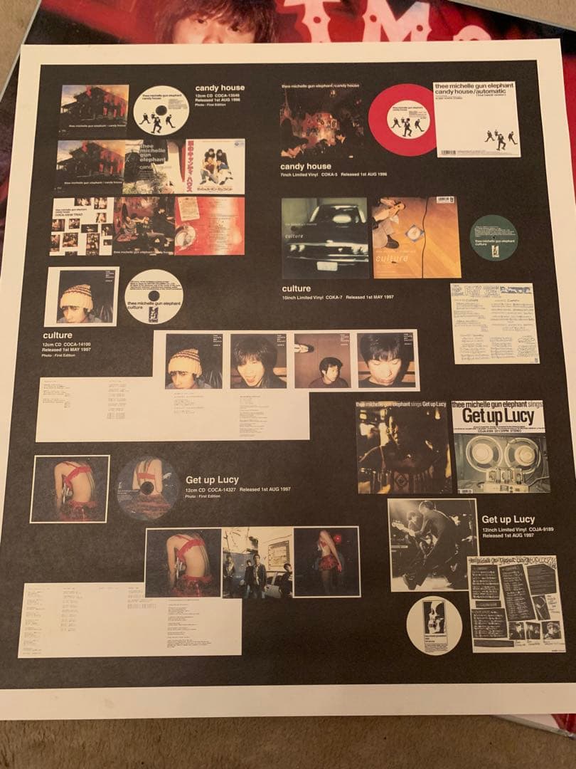 G*H様 THEE MICHELLE GUN ELEPHANT✴︎RUMBLE