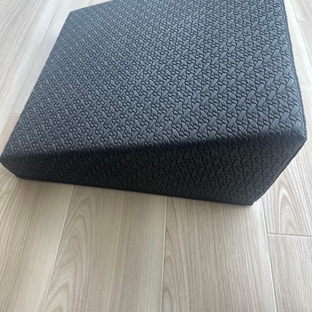 SANTE PLUSサンテプラス flexcushion フレックスクッション