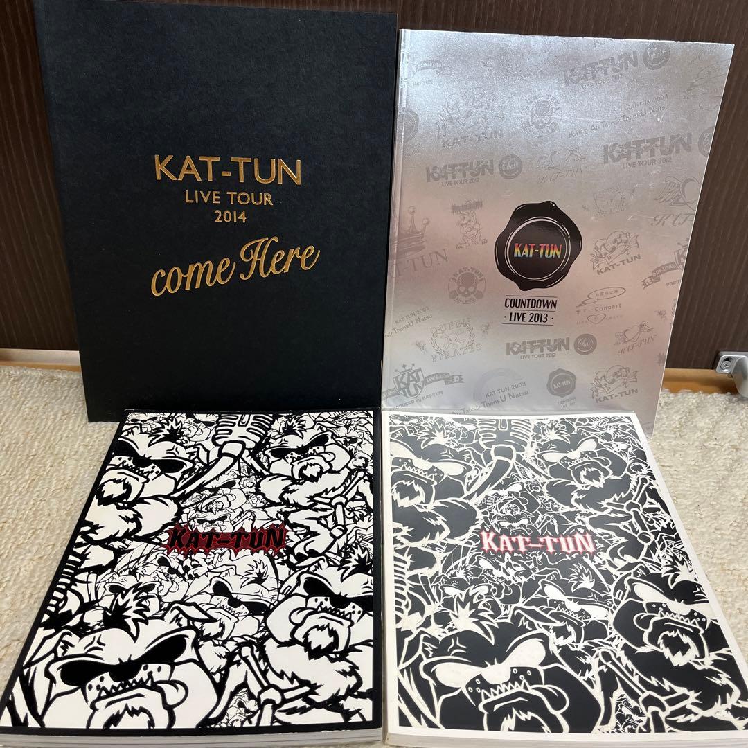 【✨KAT-TUN✨ツアーパンフレットなど 20冊✨赤西仁主演BANDAGE✨】