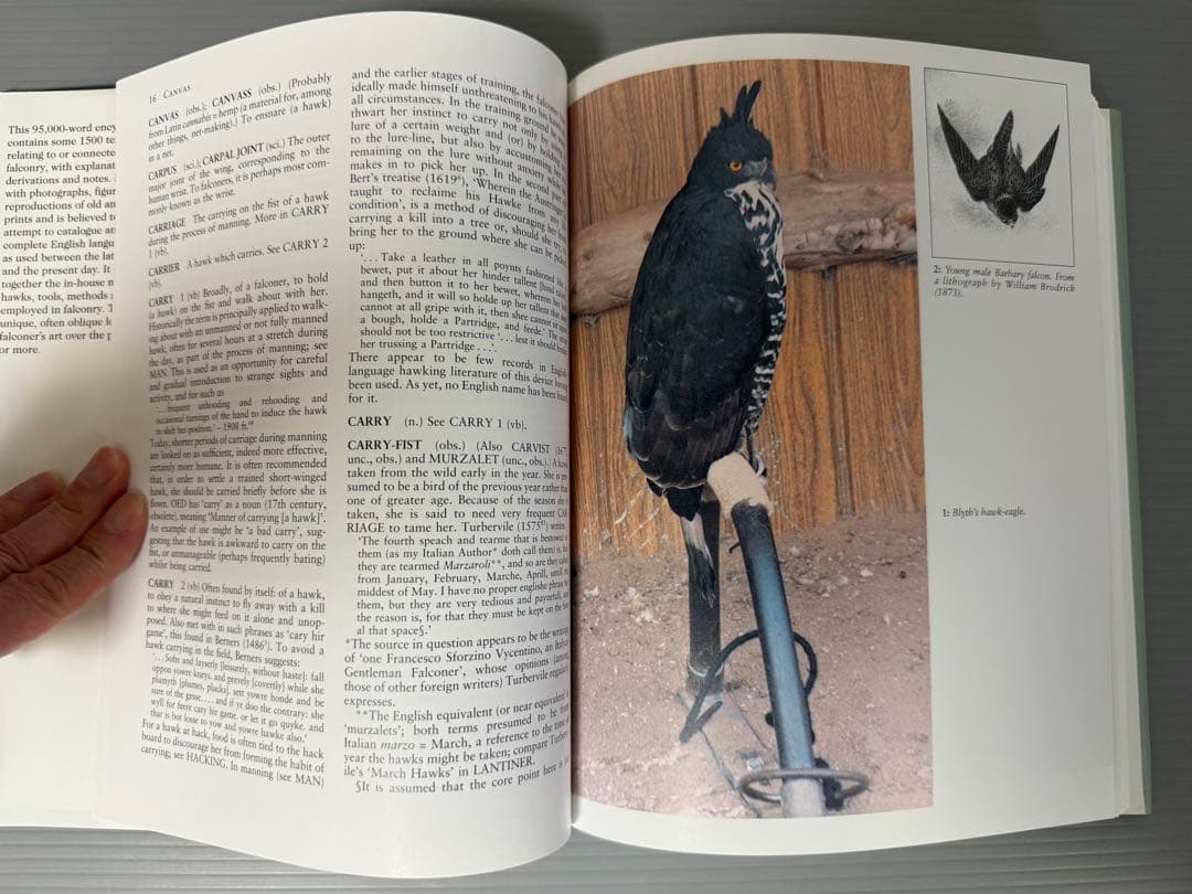 THE ENCYCLOPEDIA OF FALCONRY 鷹狩り 猛禽類 洋書