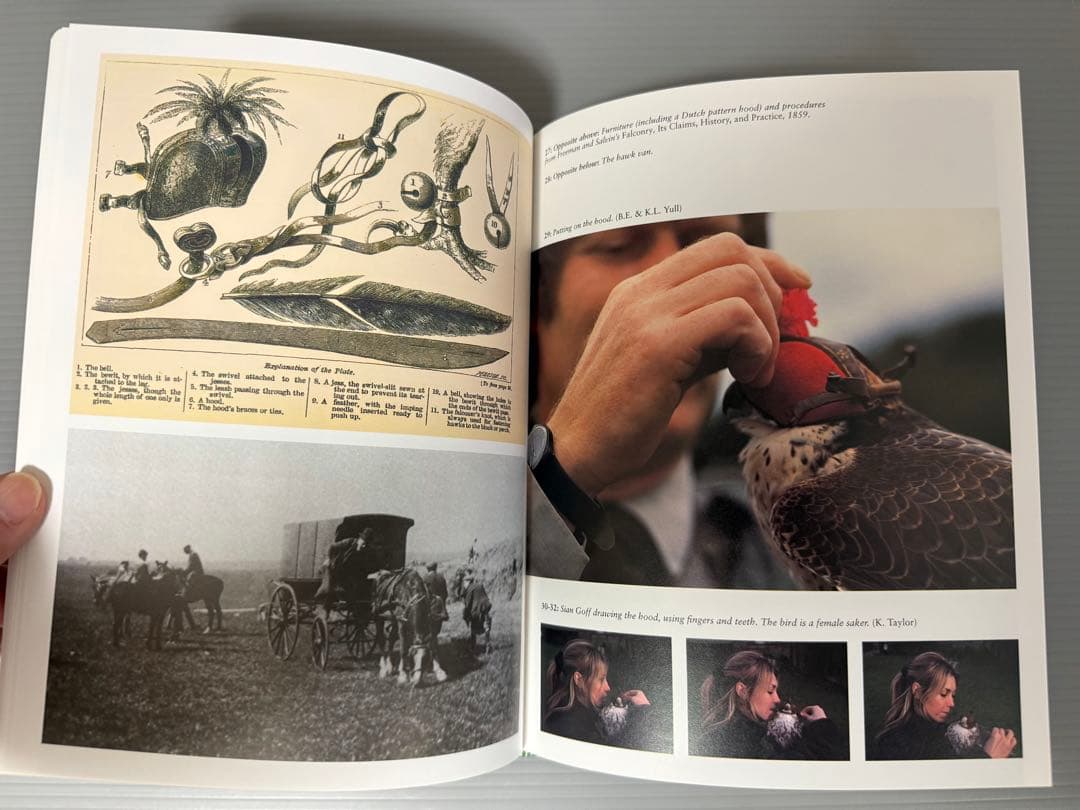 THE ENCYCLOPEDIA OF FALCONRY 鷹狩り 猛禽類 洋書