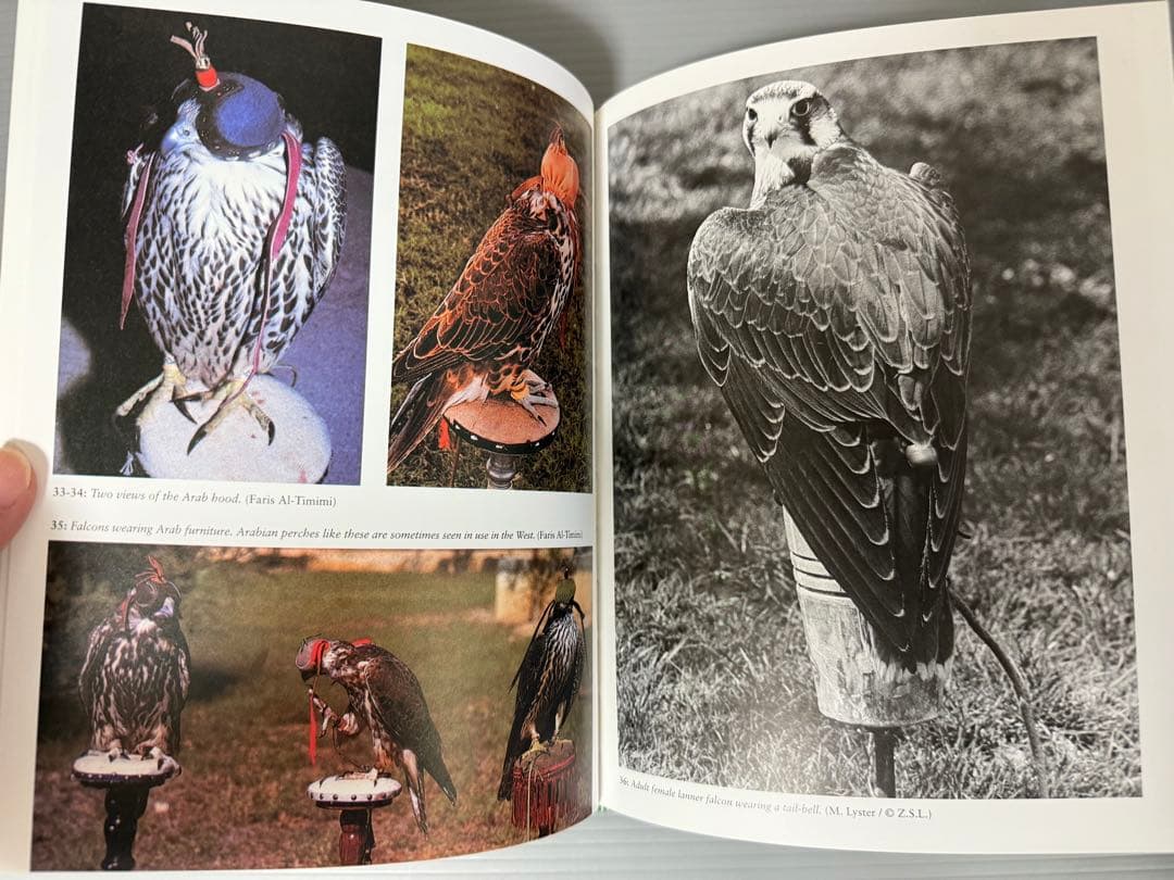 THE ENCYCLOPEDIA OF FALCONRY 鷹狩り 猛禽類 洋書