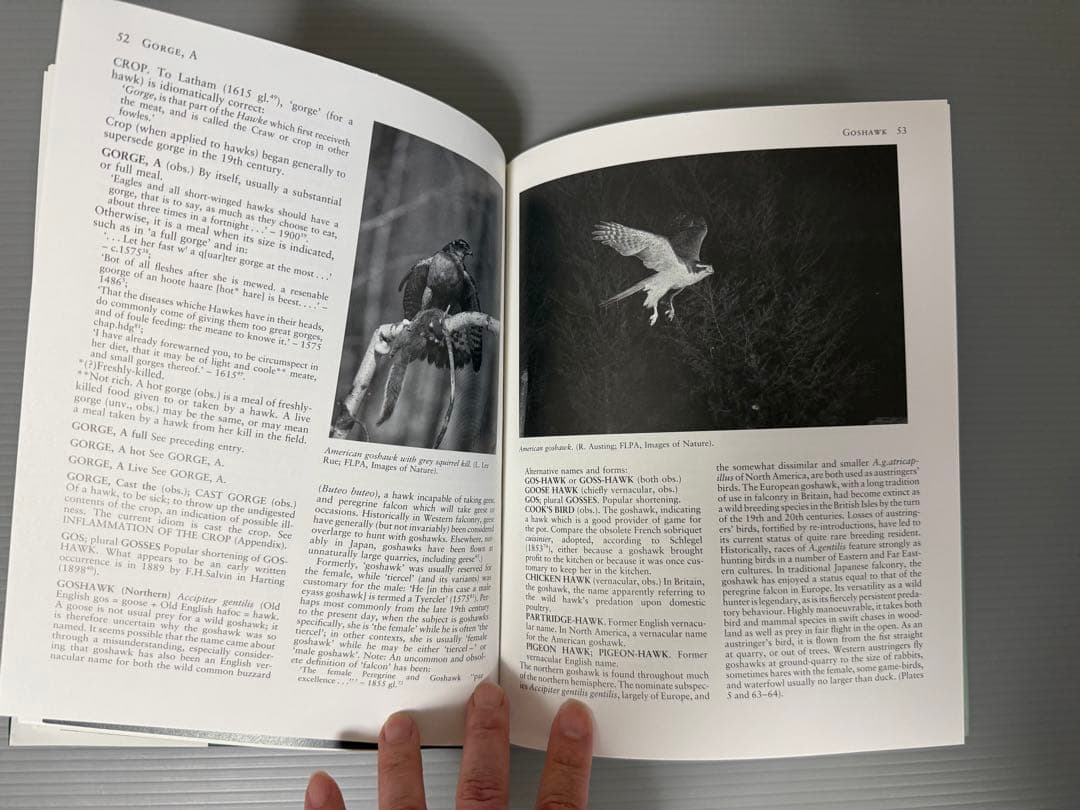 THE ENCYCLOPEDIA OF FALCONRY 鷹狩り 猛禽類 洋書
