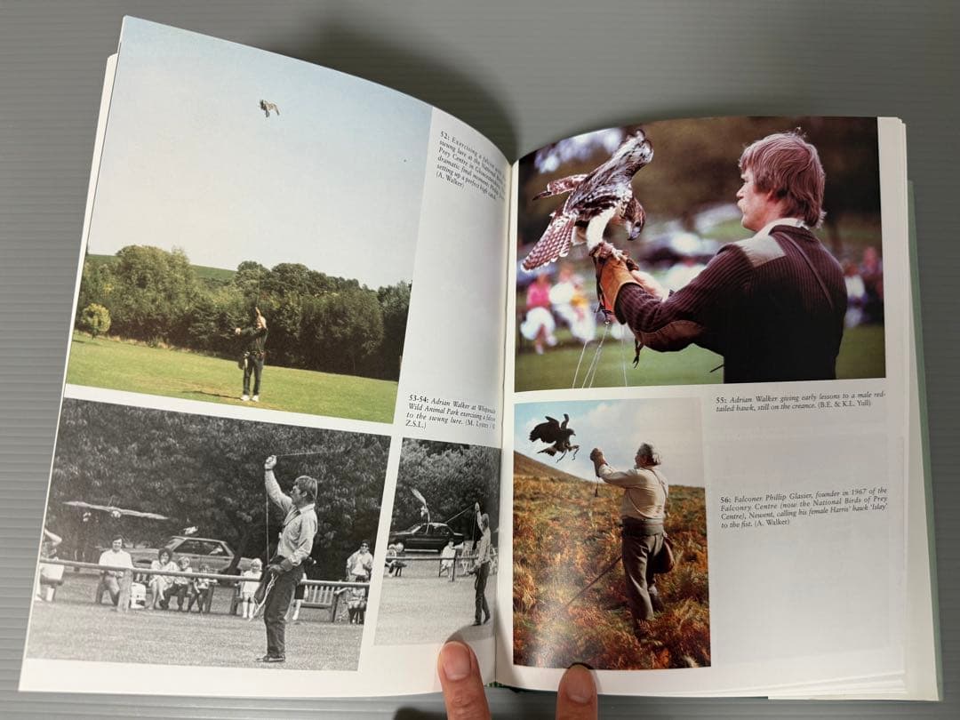 THE ENCYCLOPEDIA OF FALCONRY 鷹狩り 猛禽類 洋書